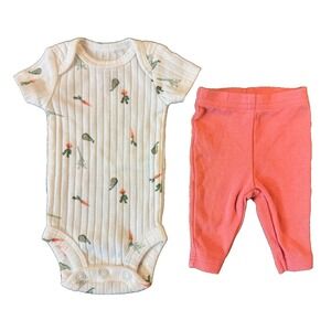 Carters Baby Outfit Girl Preemie 2 Piece Short Sleeved Bodysuit Pants Vegetables